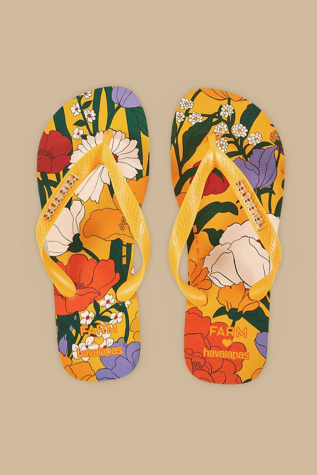 Chinelo Farm - Flower Fest