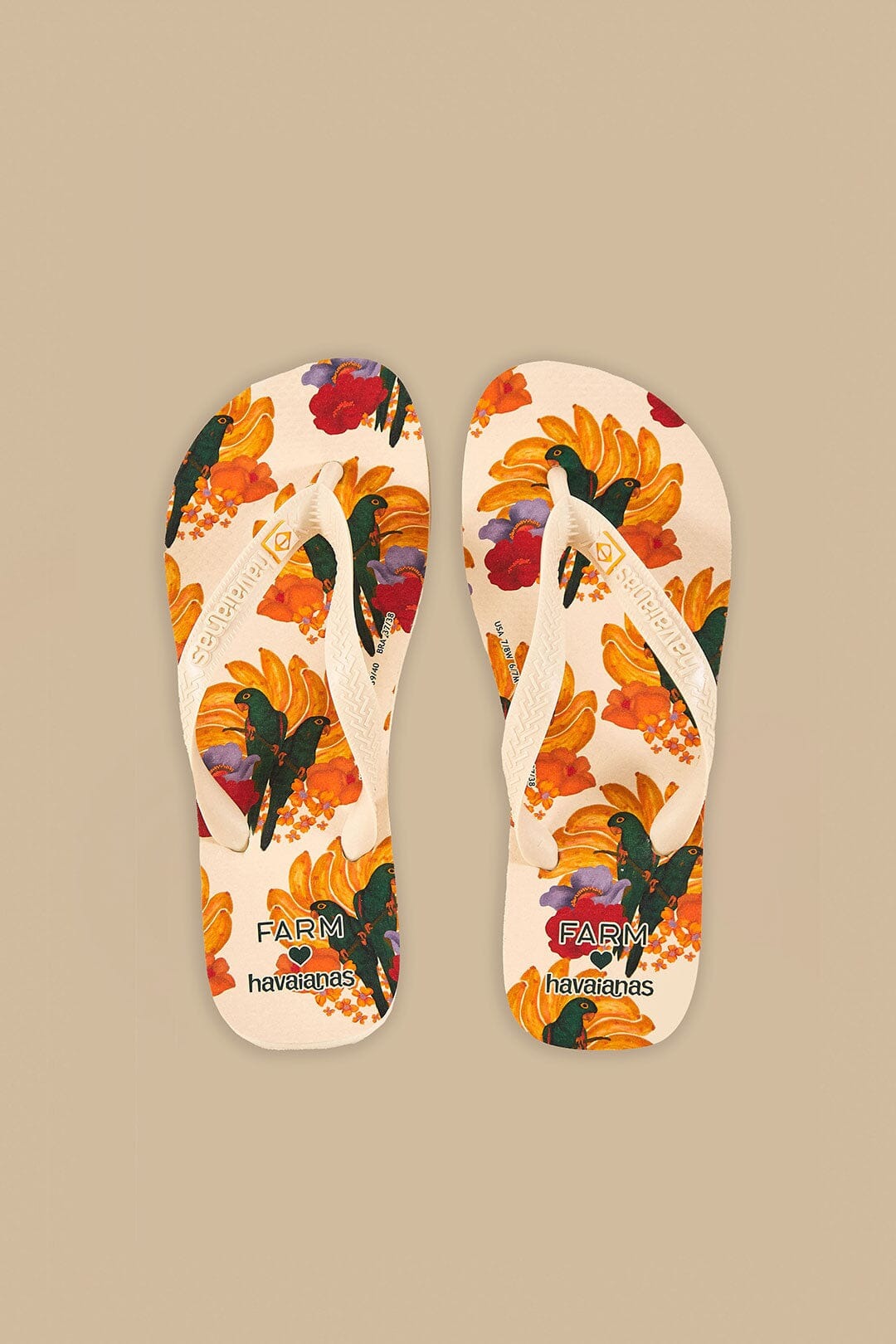 Chinelo Farm - Arara Fest