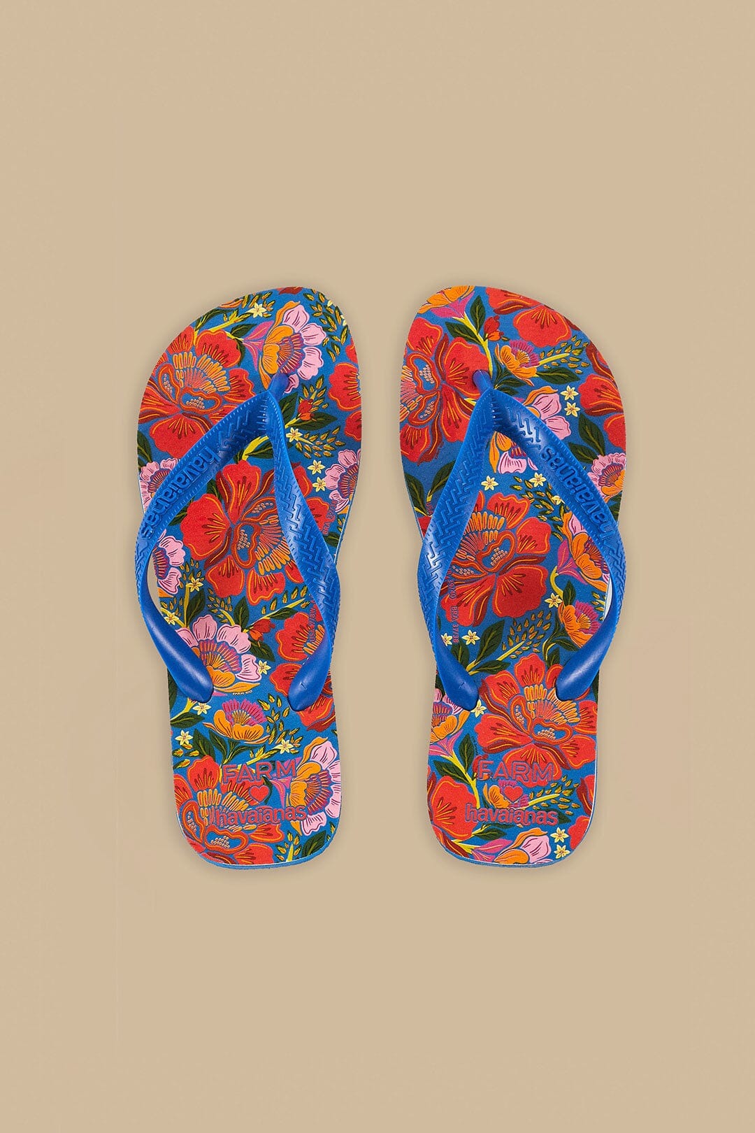 Chinelo Farm - Blue Flowers