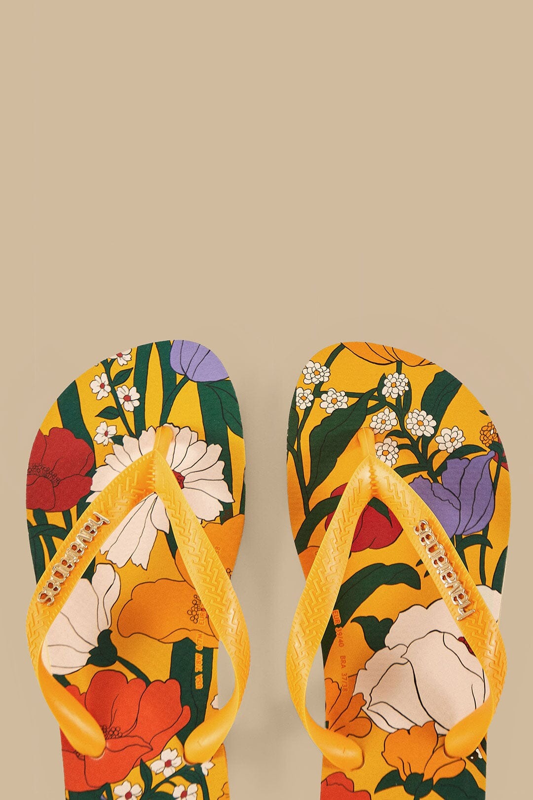 Chinelo Farm - Flower Fest