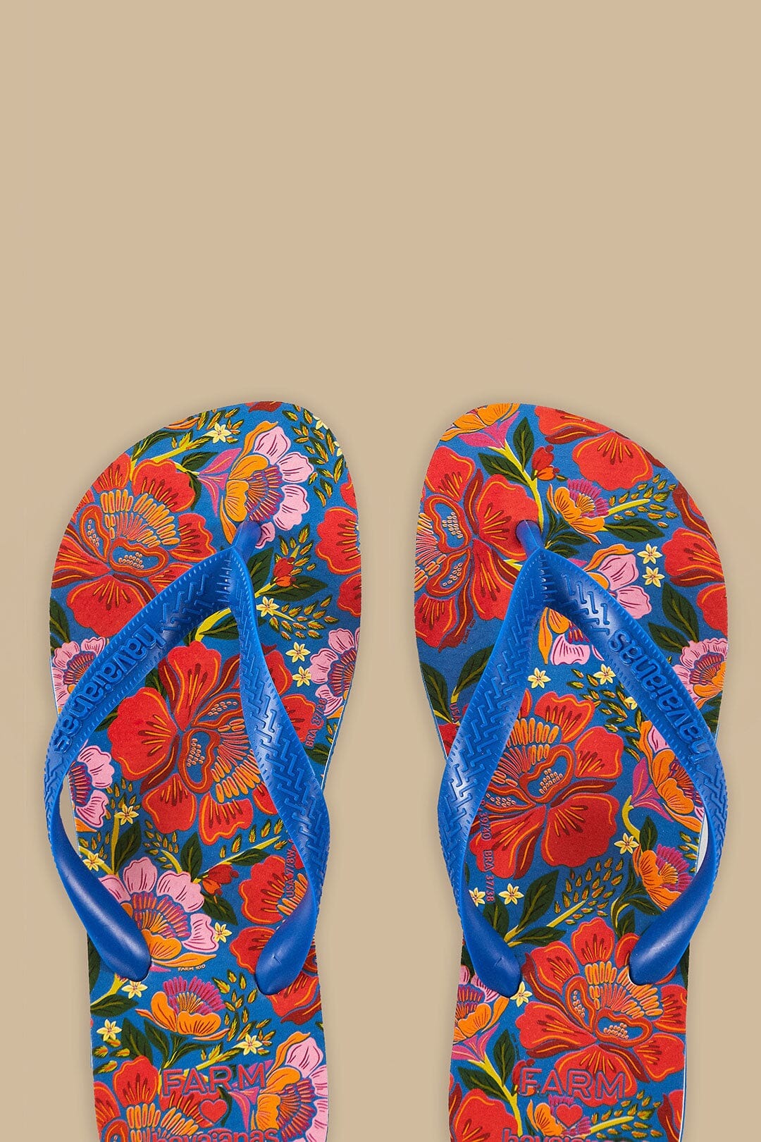 Chinelo Farm - Blue Flowers