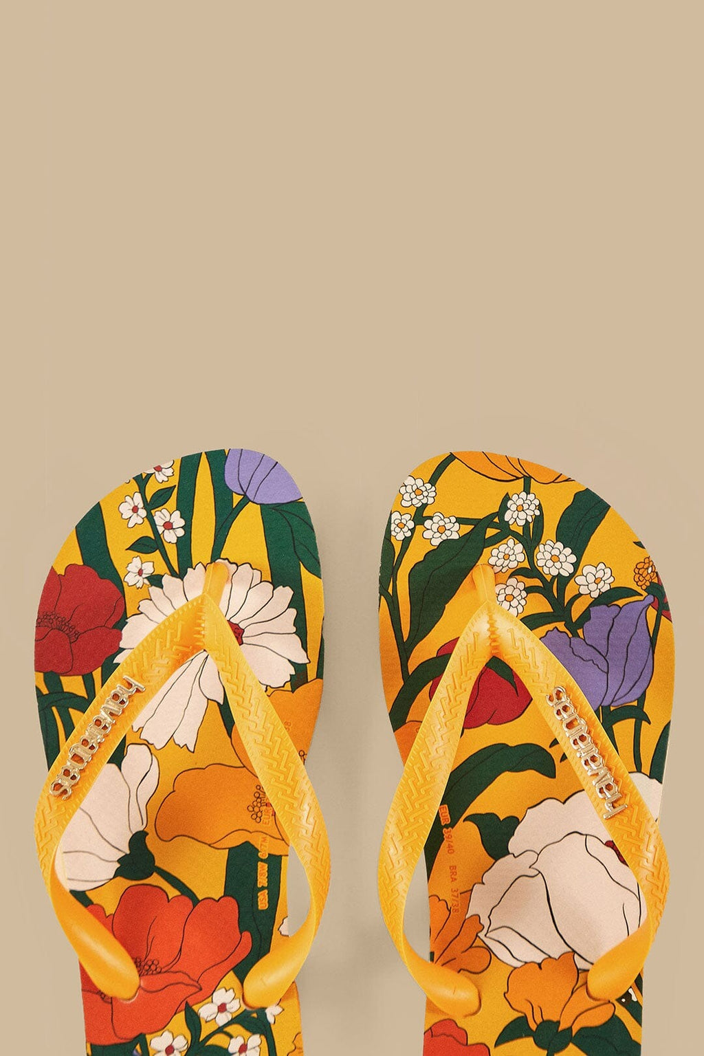 Chinelo Farm - Flower Fest